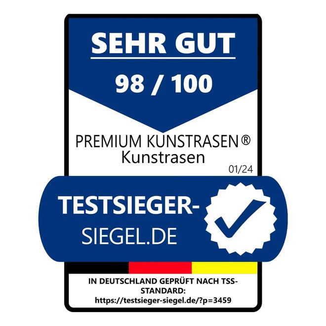 Kunstrasen Z�rich / 65 mm