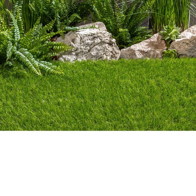 Kunstrasen Allg�u / 40 mm