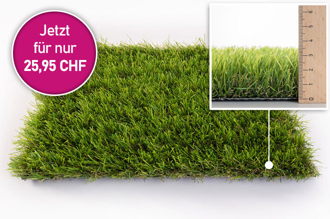 Kunstrasen D�nemark