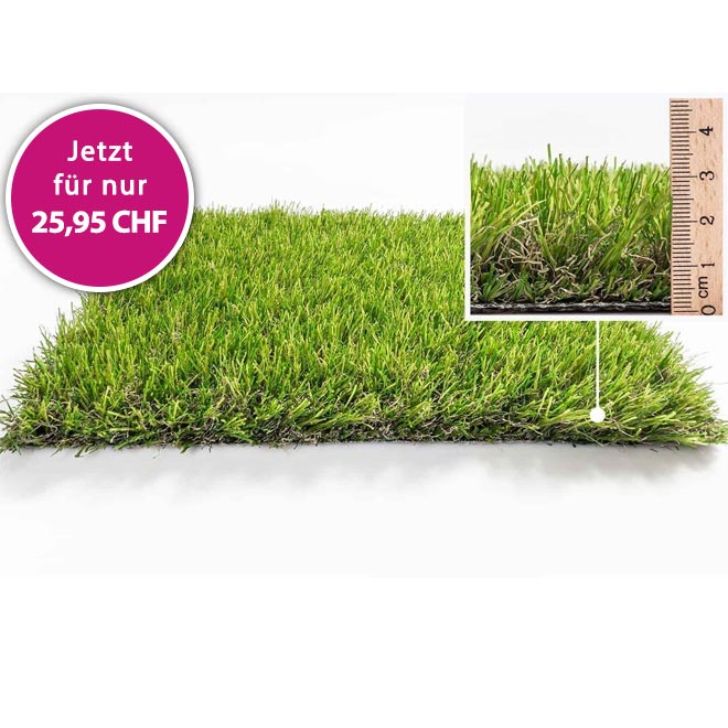 Kunstrasen D�nemark