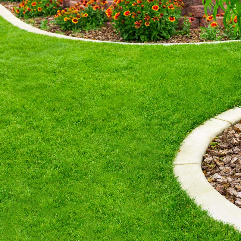 Premium-Kunstrasen f�r Ihr Premium-Zuhause in Duisburg