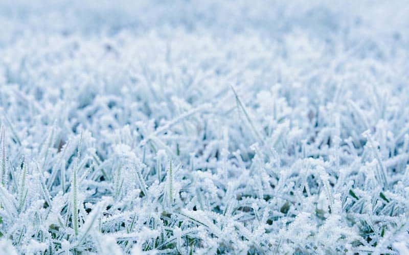 Kunstrasen im Winter � was ist zu beachten?