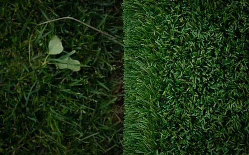 Kunstrasen vs. echter Rasen � Was gilt es zu beachten?